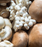 ד''ר נאדר בוטו בראיון:  על סופר פוד, בריאות וכוחה של אהבה-תמונה